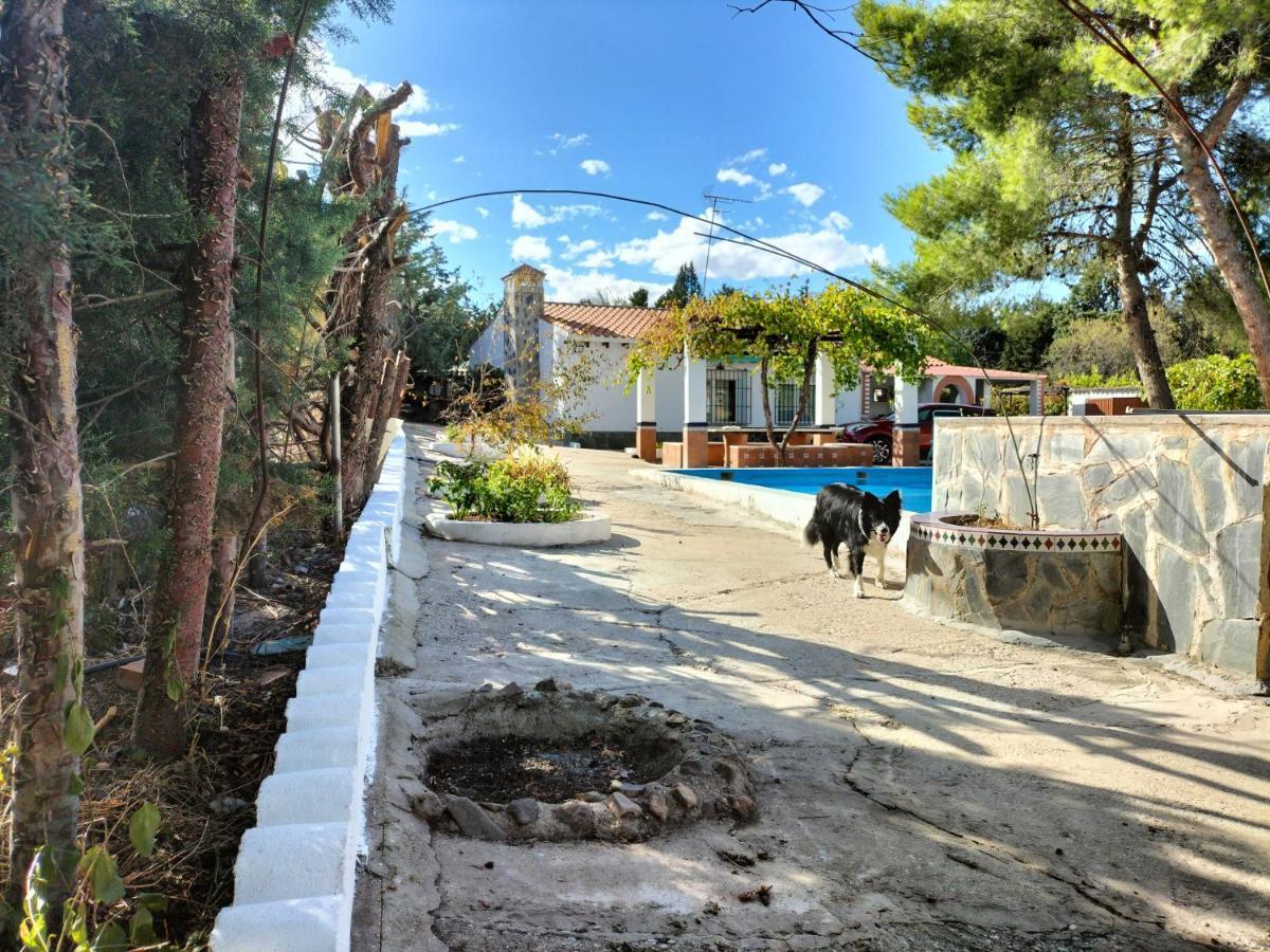 Casa De Campo Con Piscina Y Barbacoa Сasa de vacaciones Toledo